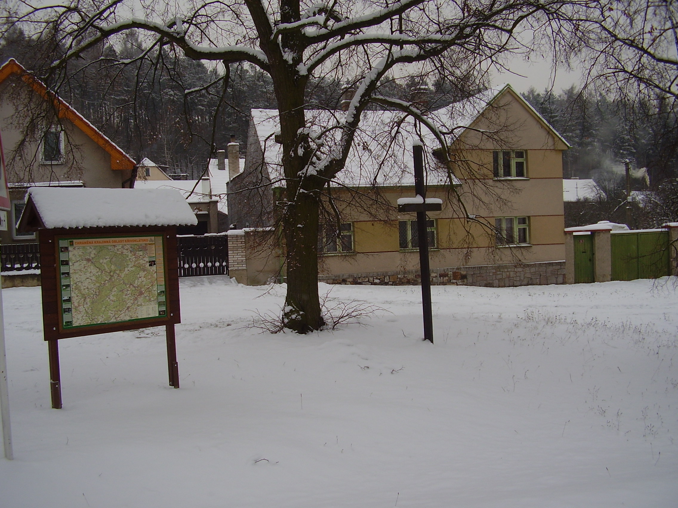 P9020480.JPG