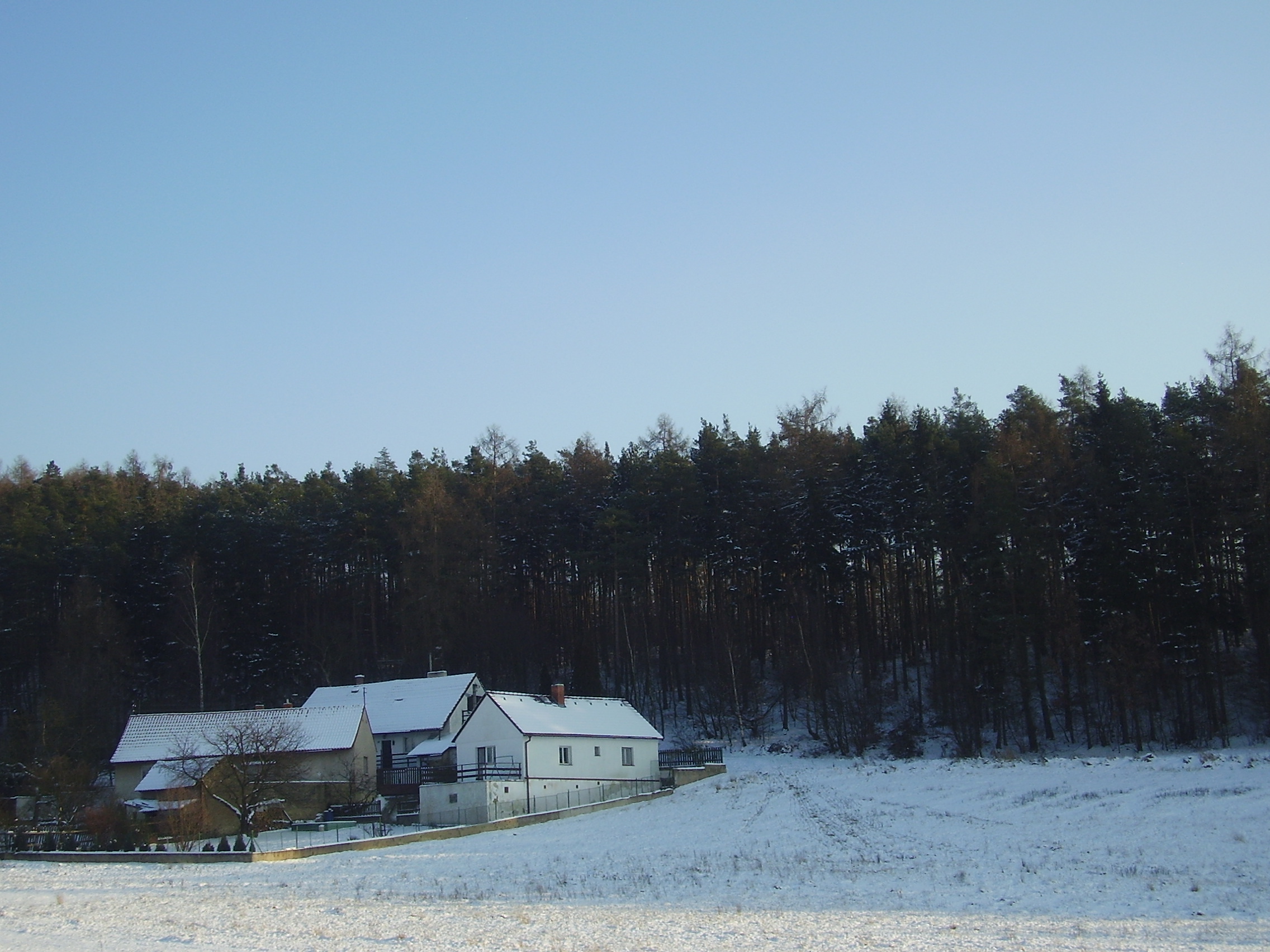 P9030485.JPG
