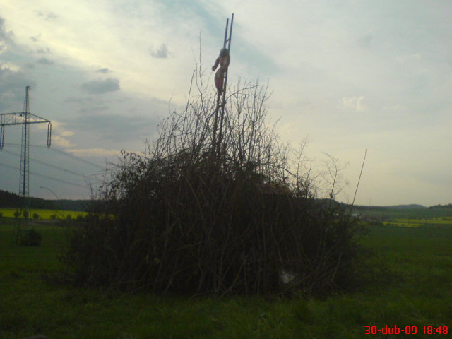 DSC00970.JPG