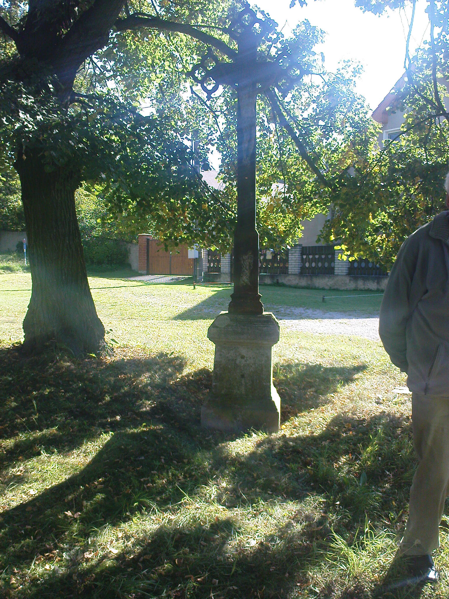 DSC05975