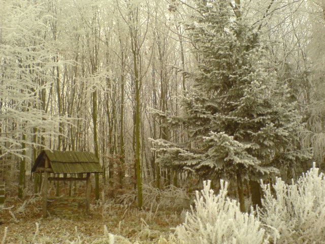 DSC05135.JPG